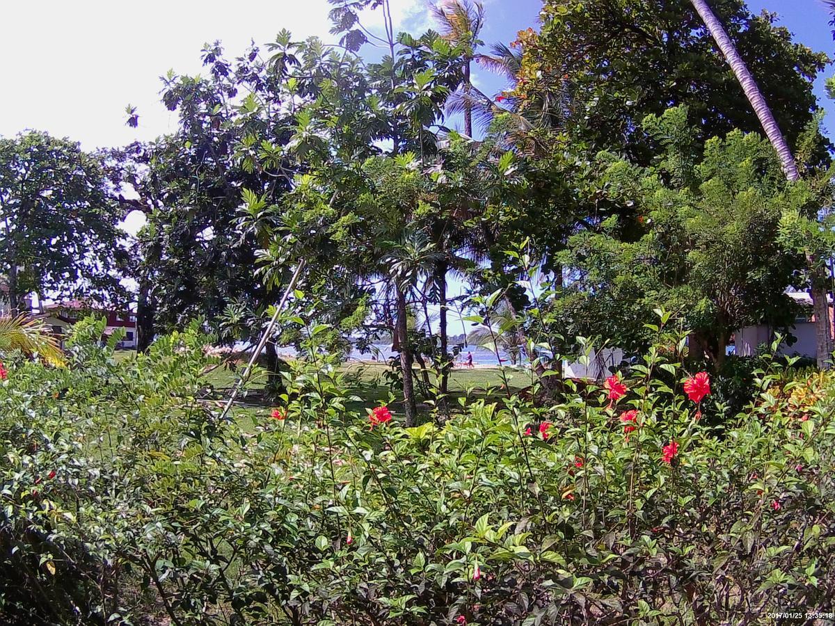 Hospedaje Yarisnori Boca del Drago Exterior foto